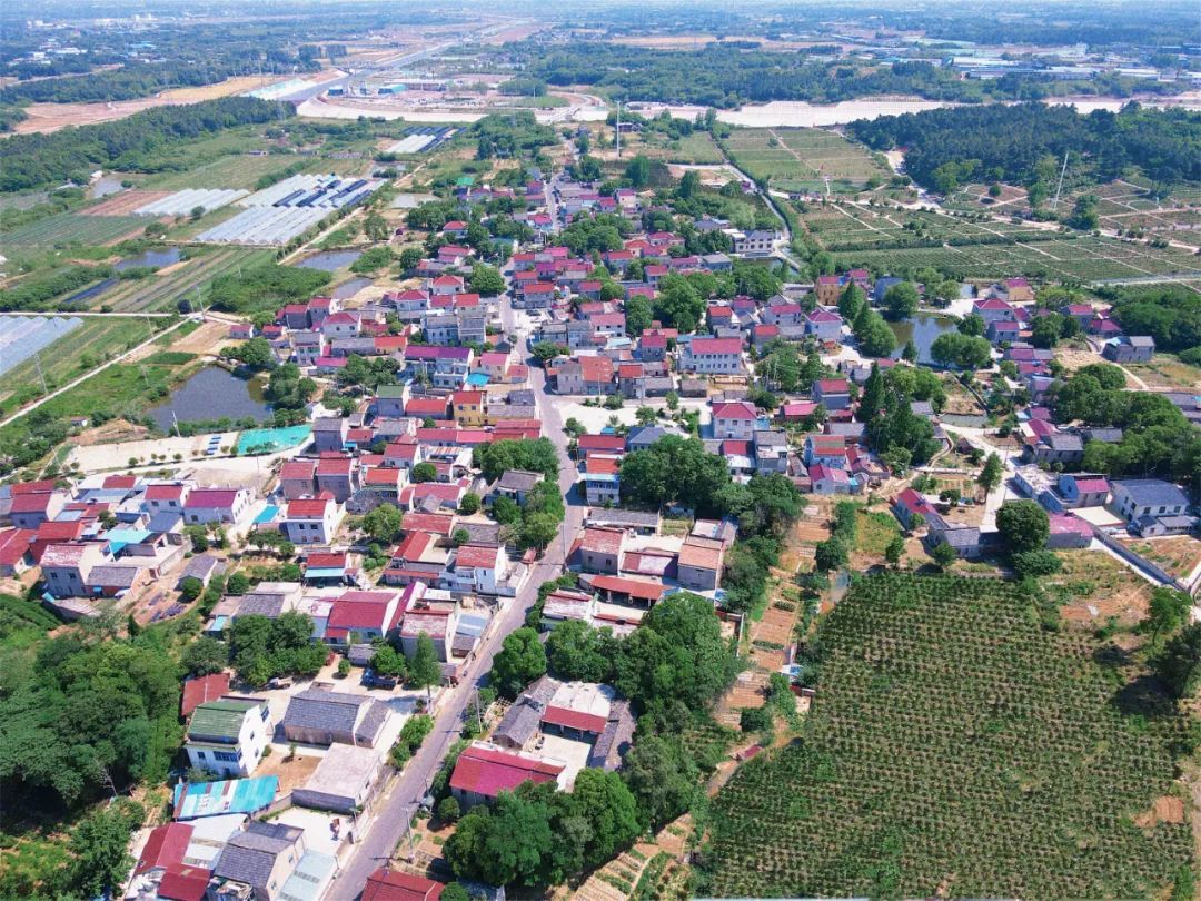 江苏省传统村落，南京溧水再有千年古村入选