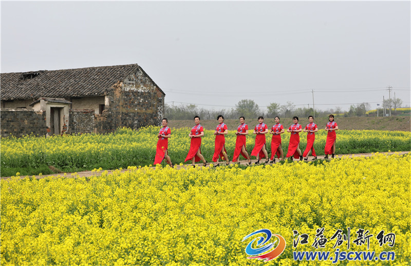 句容李家桥村:昔日"孤岛"变花海 美丽乡村游人醉_旅游_江苏创新网